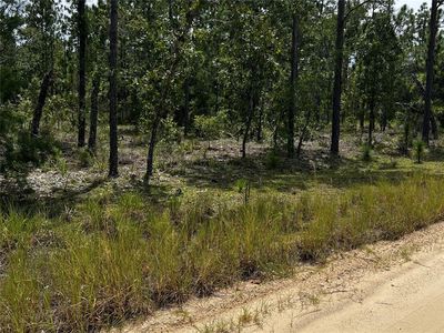 137 Beulah Dr LOT 15, Hawthorne, FL, 32640