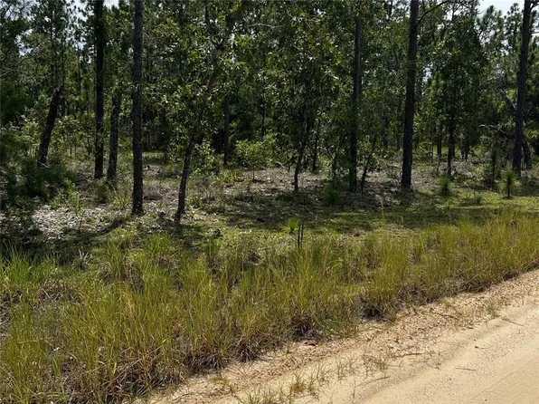 137 Beulah Dr Lot 15, Hawthorne, FL 32640