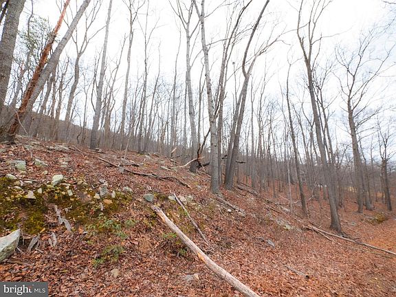5th image of Lots 8 & 9 Elk Trl