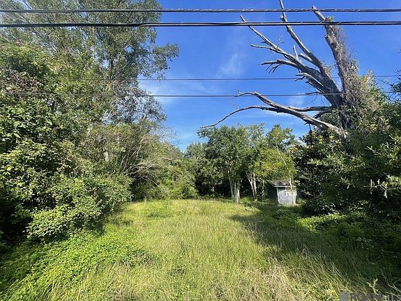 3rd image of 13311 Plank Rd