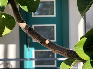 220 Stewart St, Reno, NV 89501