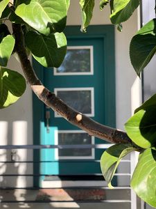 220 Stewart St, Reno, NV, 89501