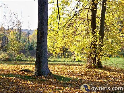 view east towards river