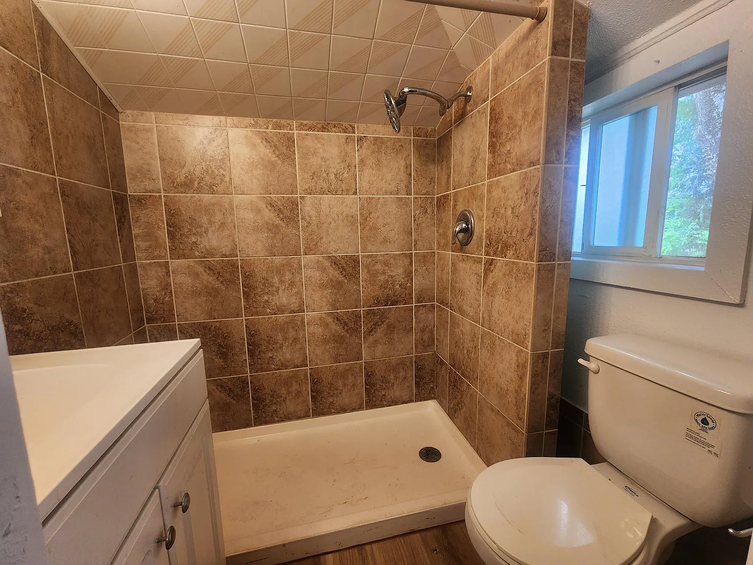1 bed, 300 sqft, $800 — Photo 2