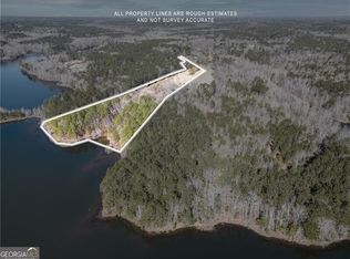 697 Moccasin Gap Rd, Jackson, GA 30233