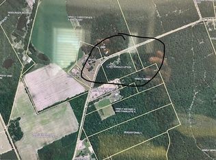 343 Pleasant Acres Road, Springfield, GA 31329