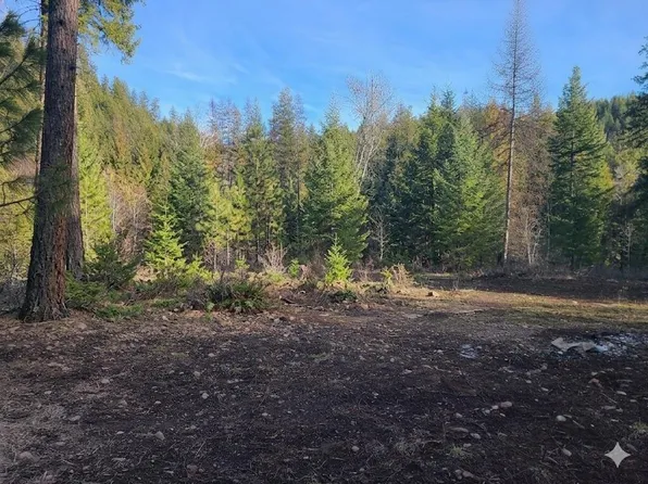 2584 Bridgeman Rettinger Rd #F, Kettle Falls, WA 99141