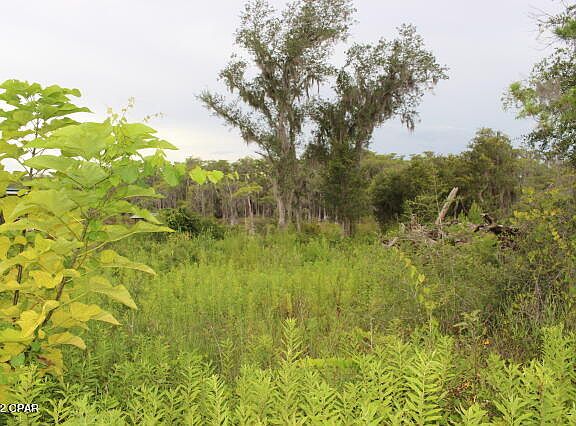 4th image of 21558 NW Lake McKenzie Blvd