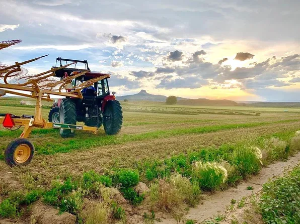 TBD Road 19 1/2, Cody, WY 82414