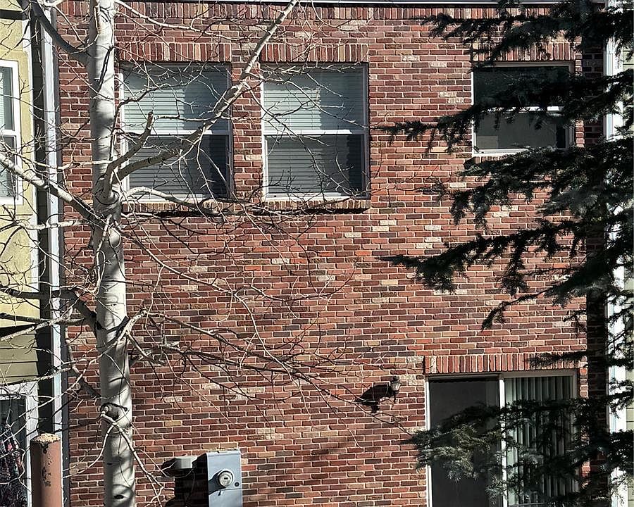2nd image of 788 Brewery Drive