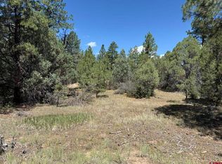 124 Susans Pl, Pagosa Springs, CO 81147