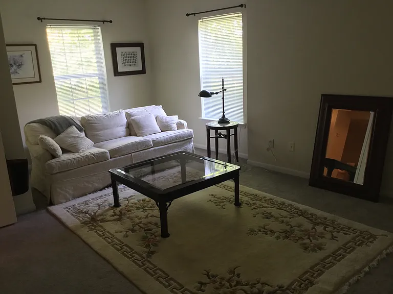 1123 Joyce Ln — Photo 17