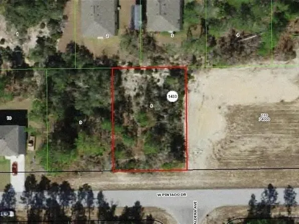 2923 W PINTADO DRIVE LOT 8, CITRUS SPRINGS, FL 34433