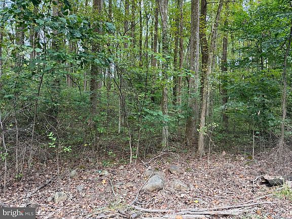 3rd image of Smith Run Rd