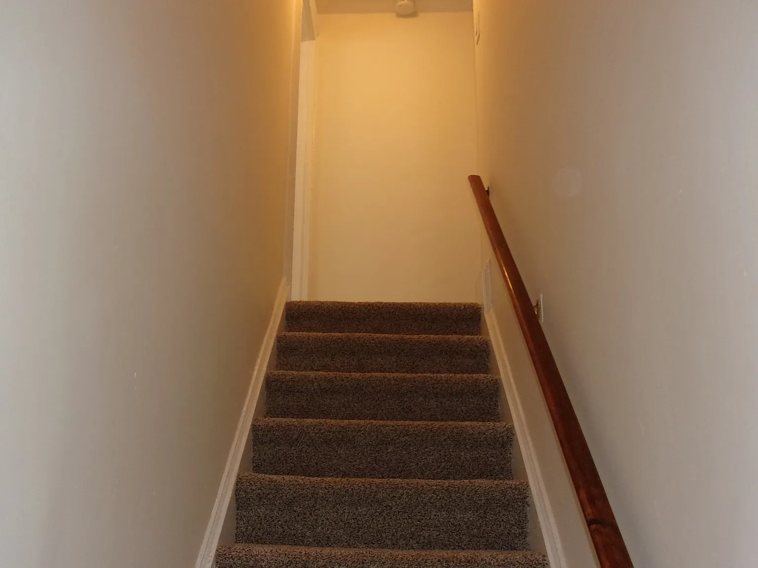 1041 Niagara Rd — Photo 4