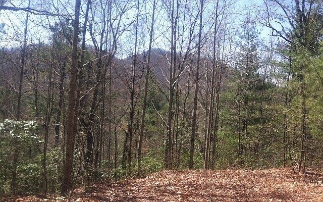 2nd image of 0 Horton Rd