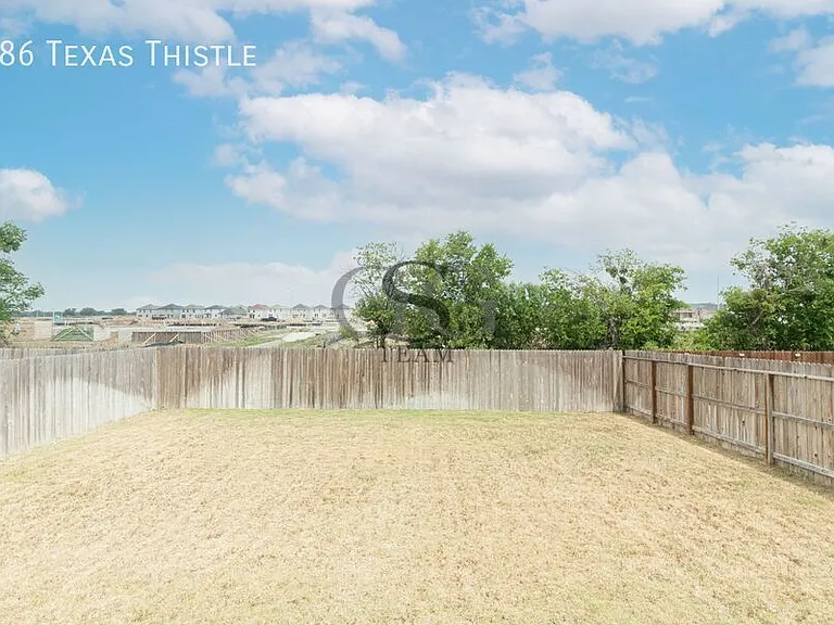 186 Texas Thistle — Photo 17