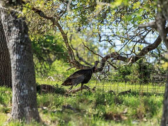 3rd image of 215 Dally