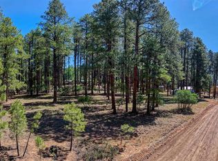 79 Spruce Way, Bayfield, CO 81122