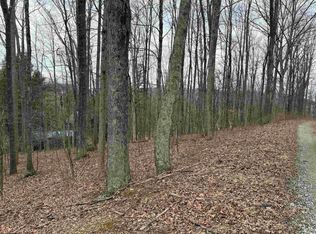 Elliott Ave, Belington, WV 26250