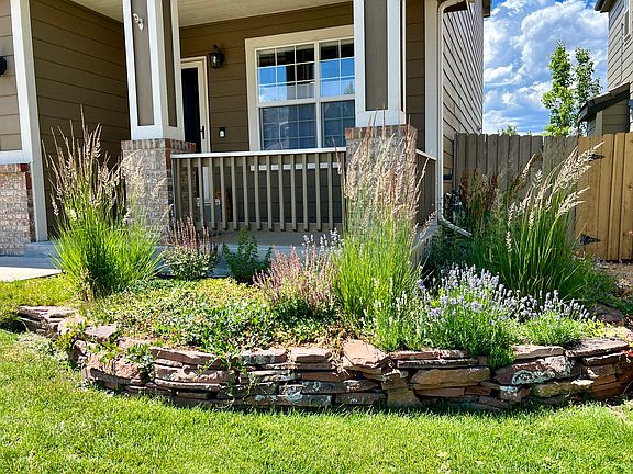 Front garden
