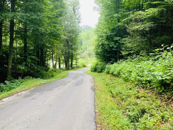 Samps Hollow Rd, Elizabethton, TN 37643