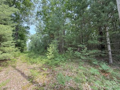 Critter Trl PARCEL B, Manistee, MI, 49660