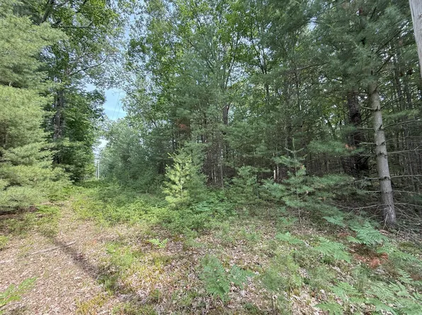 Critter Trl Parcel B, Manistee, MI 49660