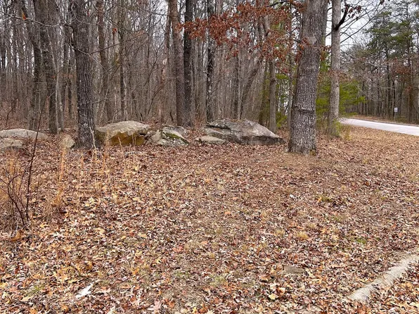 16341 Downey View Dr, Sale Creek, TN 37373