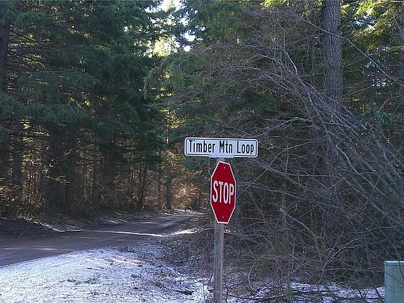 2nd image of 1941 Timber Mountain Loop