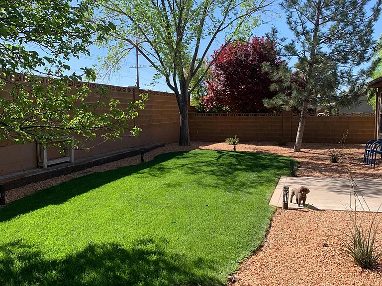 Back yard
