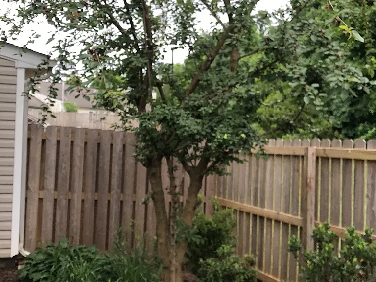 a peaceful backyard with a newly installed fence and varieties of beautiful flowers and plants