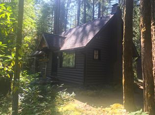 54801 E King Rd, Blue River, OR 97413