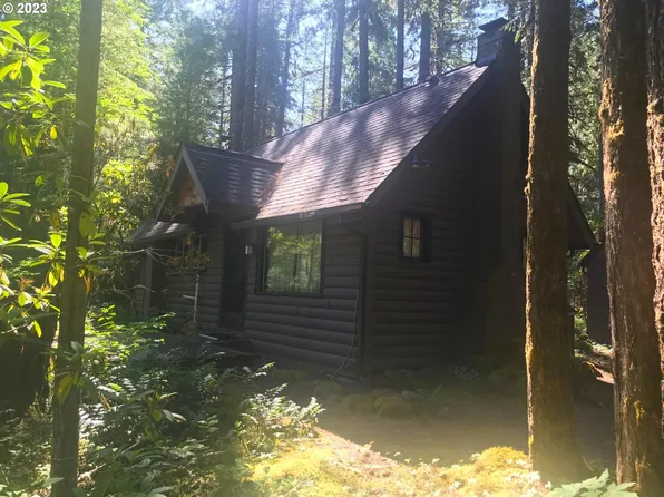 54801 E King Rd, Blue River, OR 97413