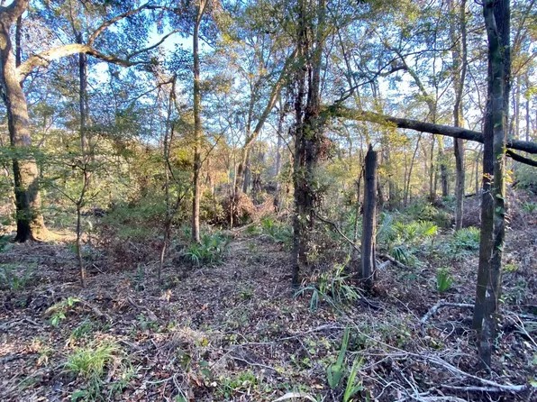 38 SW Dragon Way, Jasper, FL 32052