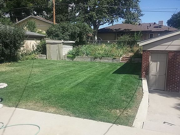 Back yard