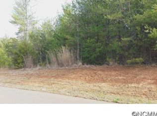 5 Old Amber Dr, Weaverville, NC 28787