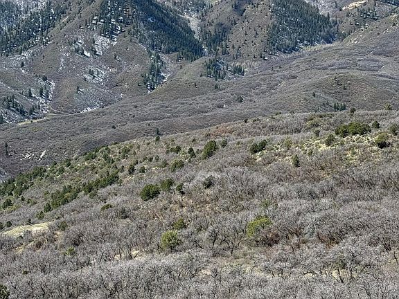 3rd image of 0 S Fork Rd