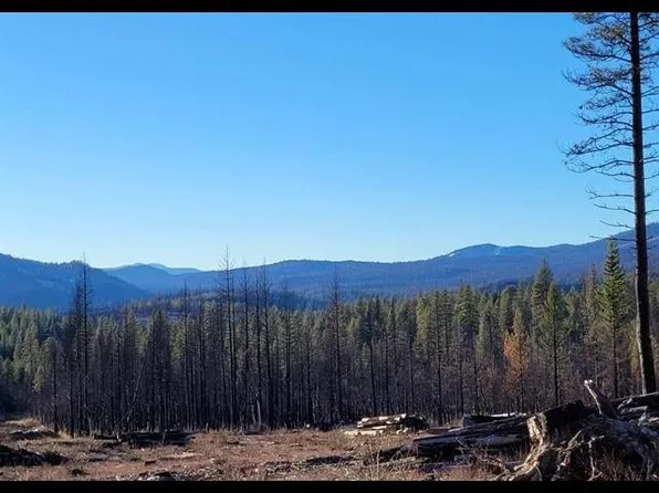 2300 Upper Pecks Valley Rd, Greenville, CA 95947