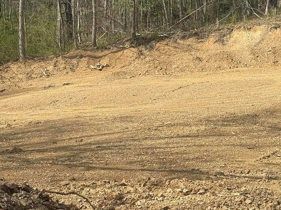 2nd image of 125 Reynolds Rd