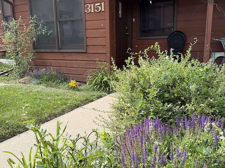 3151 Bell Dr — Photo 28