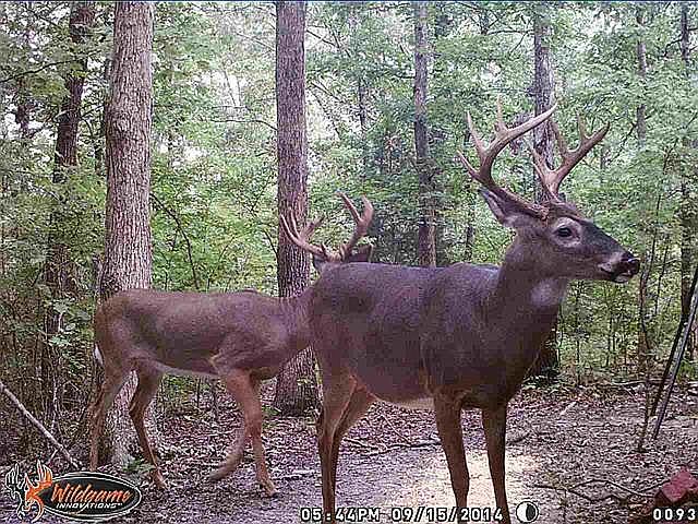 1st image of Threlkel Ferry Road