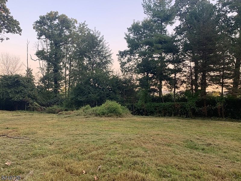 2nd image of 1541 Coles Ave