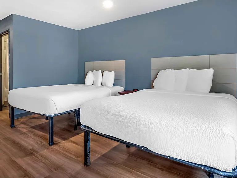 Studio Suite - 2 Queen Beds