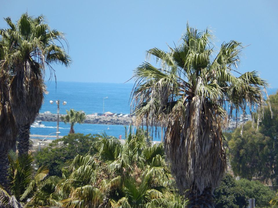 View from the condo deck