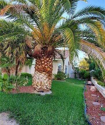 5th image of 1032 Nawkee Dr