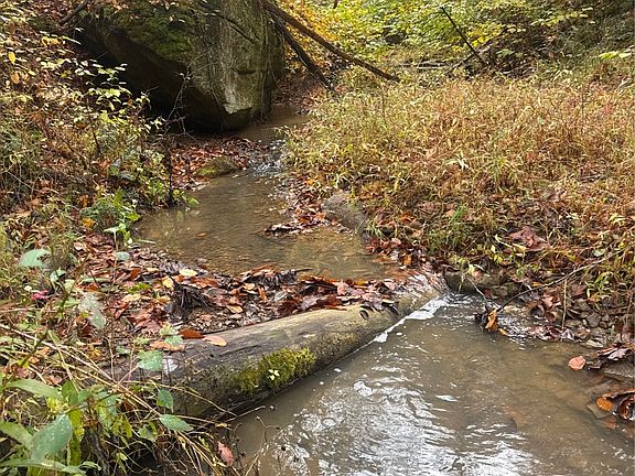 Left Fork of Campbell Creek running along the east boundary