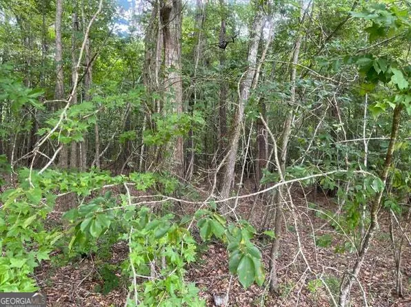 1402 Tanyard Creek Dr, Thomson, GA 30824