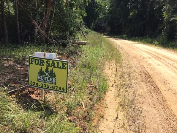 2 Swanner Bridge Rd, Rutledge, AL 36071