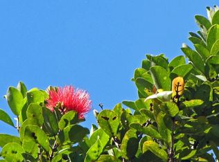 45 Malia Aina Flt, Volcano, HI 96785